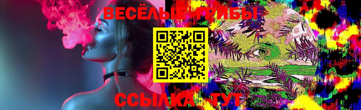 Галлюциногенные грибы Psilocybe Похвистнево