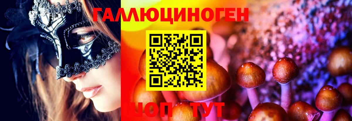 Галлюциногенные грибы GOLDEN TEACHER  Вход с VPN  Галлюциногенные грибы Psilocybine cubensis  Похвистнево 